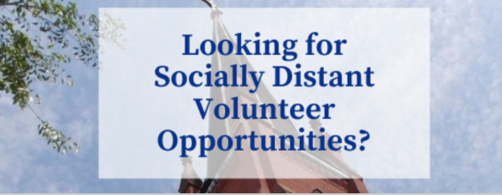 Looking for Socially Distant Volunteer Opportunities? We Need You!